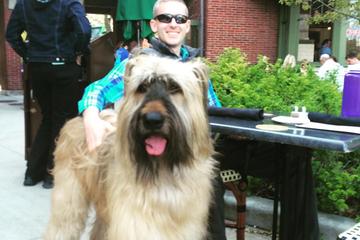 The Patio At Cafe Brauer Is Pet Friendly