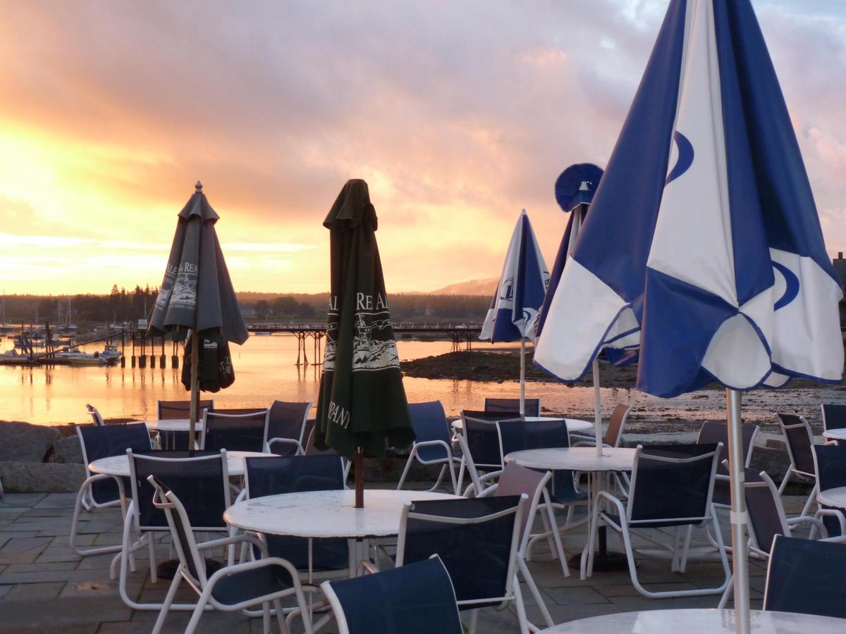 Seafood Ketch Is Pet Friendly