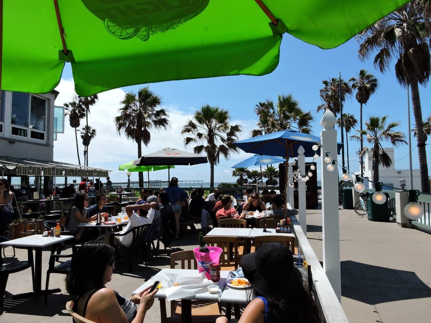 Dog Friendly Restaurants In Ocean Beach Ca Bring Fido