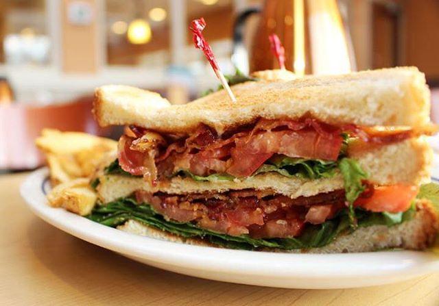 Ihop Is Pet Friendly