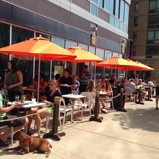 Dog Friendly Restaurants In Long Island City Ny Bringfido