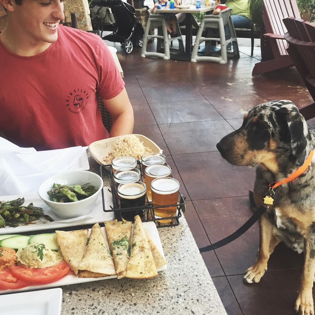 Dog friendly places outlet to eat near me