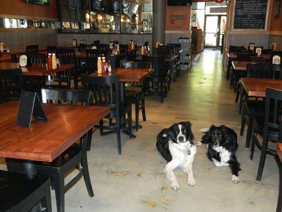 Collie's Sports Bar and Grill Is Pet Friendly