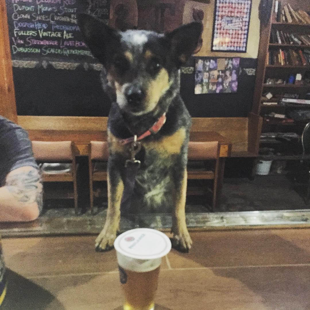 Pet Friendly Heorot Pub and Draught House