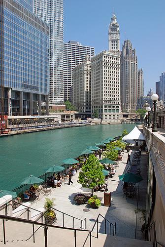 Dog Friendly Restaurants In Hyde Park Il Bringfido