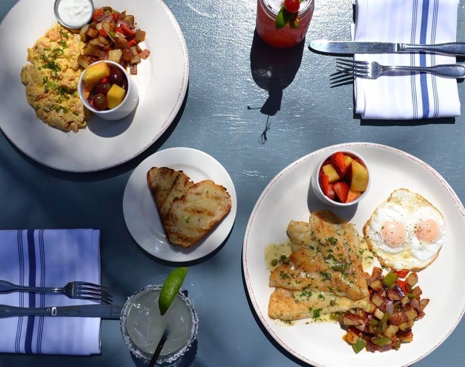 Bluewater Grill Seafood Restaurant Is Pet Friendly