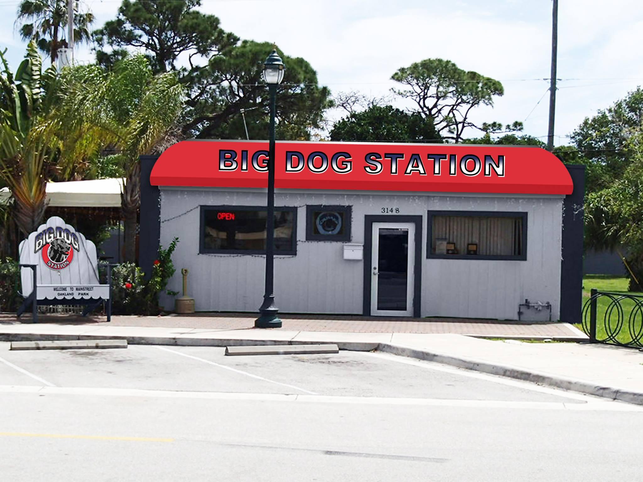 Pet Friendly Big Dog Station