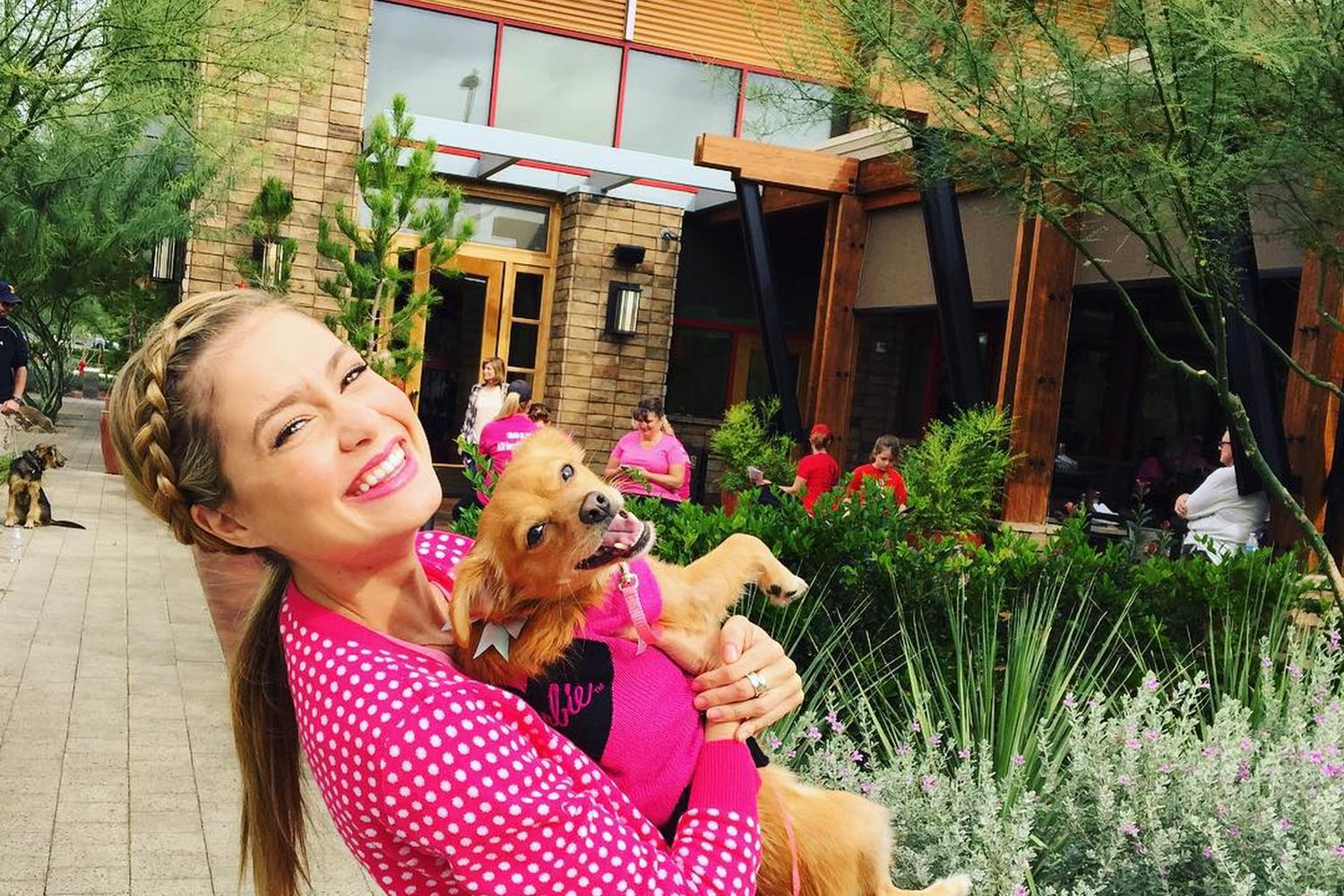 Lazy Dog Restaurant Bar Is Pet Friendly