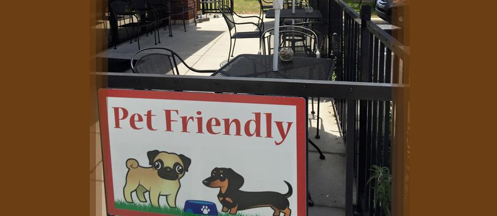 Dog Friendly Restaurants In Davenport Fl Bringfido