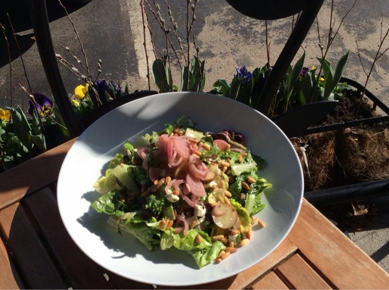 Dog Friendly Restaurants In Pawtucket Ri Bringfido