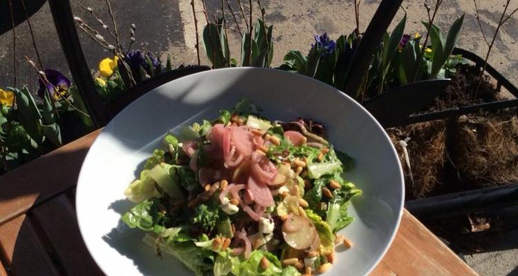 Garden Grille Is Pet Friendly