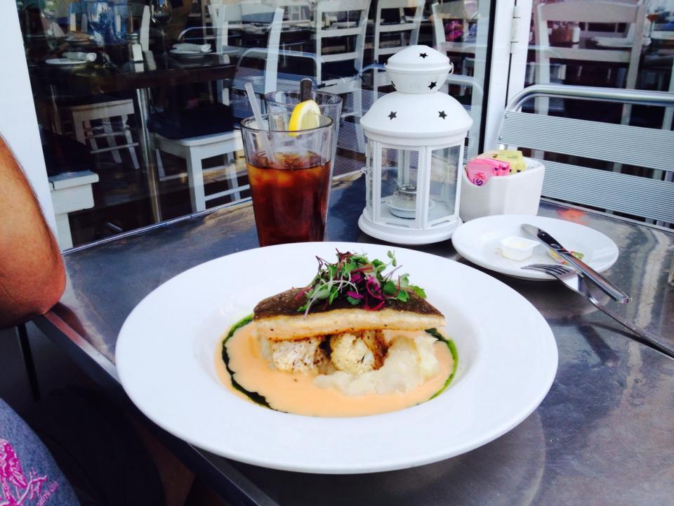 Patio American Grill and Cocktail Bar Pet Policy