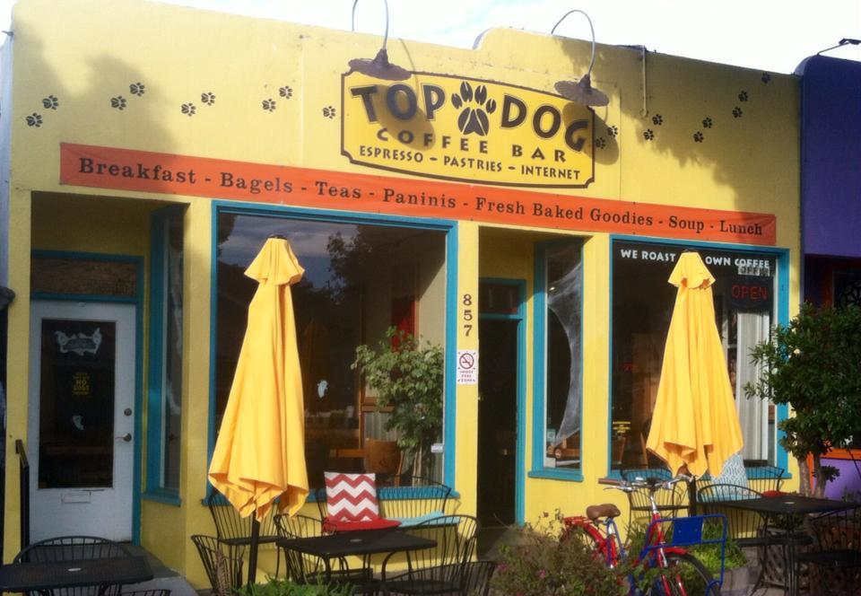 Dog Friendly Coffee Shops San Jose, CA - Last Updated December