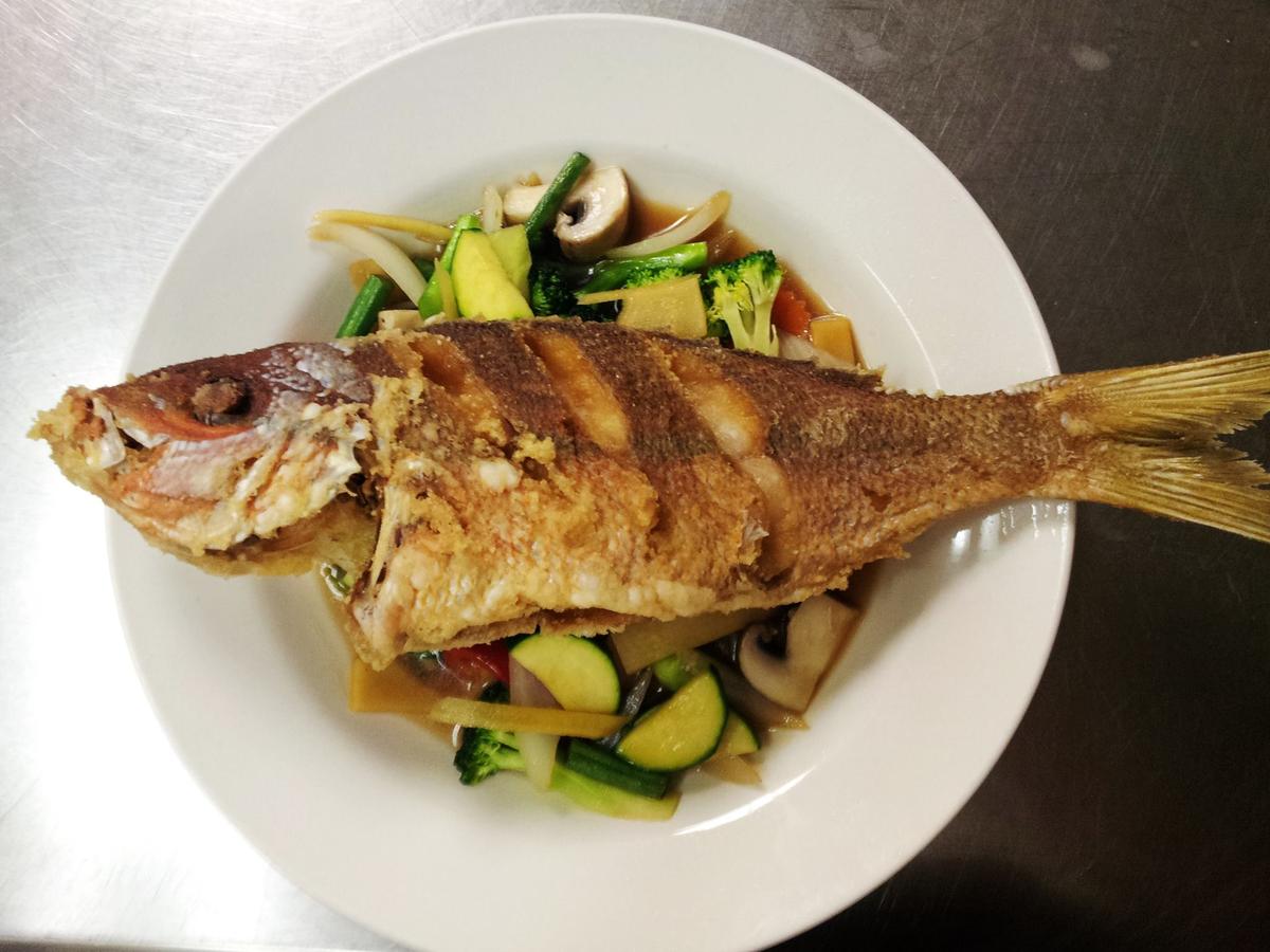 Bamboo Leaf Is Pet Friendly