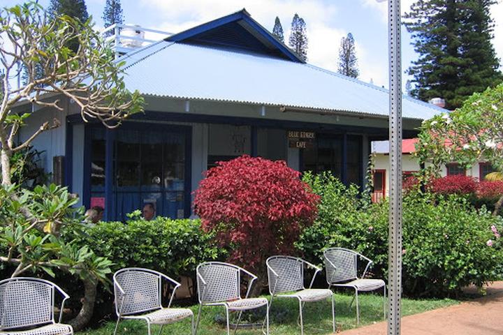 Pet Friendly Blue Ginger Cafe