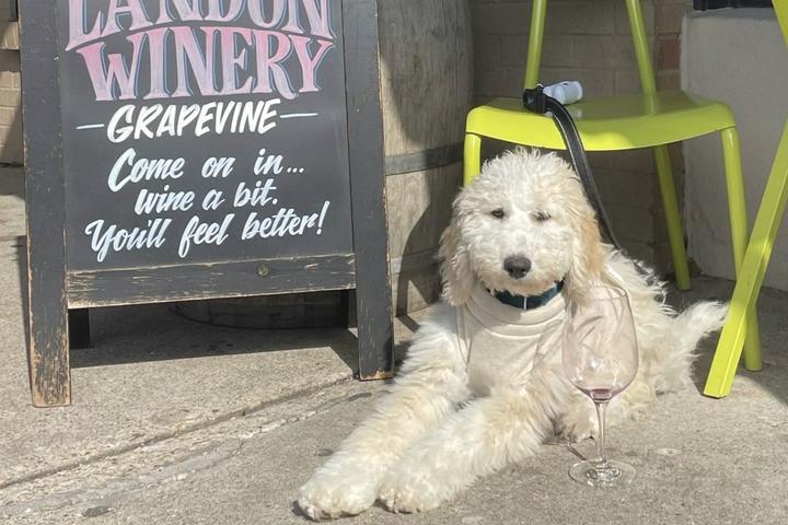 Pet Friendly Landon Winery Greenville
