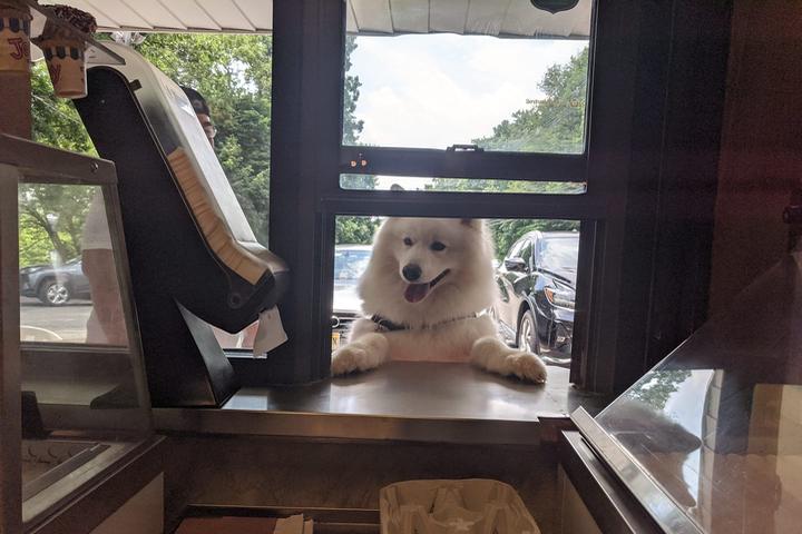Pet Friendly After Char-Broil & Ice Cream