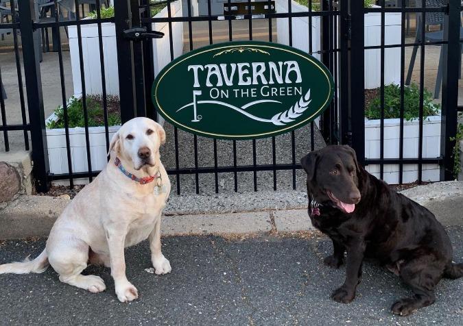Pet Friendly Taverna on the Green