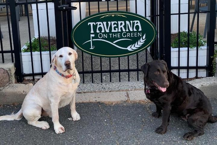 Pet Friendly Taverna on the Green