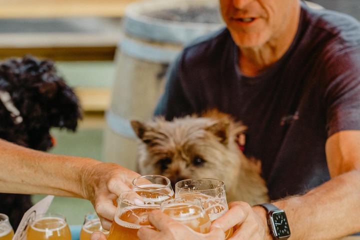 Pet Friendly Trading Post Brewing Eatery