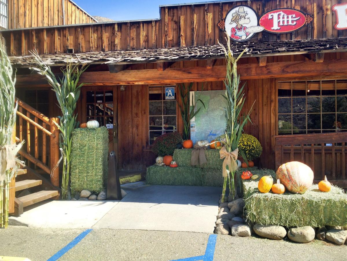 Pizza Barn Is Pet Friendly