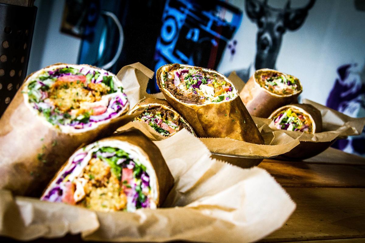 Spitz Is Pet Friendly