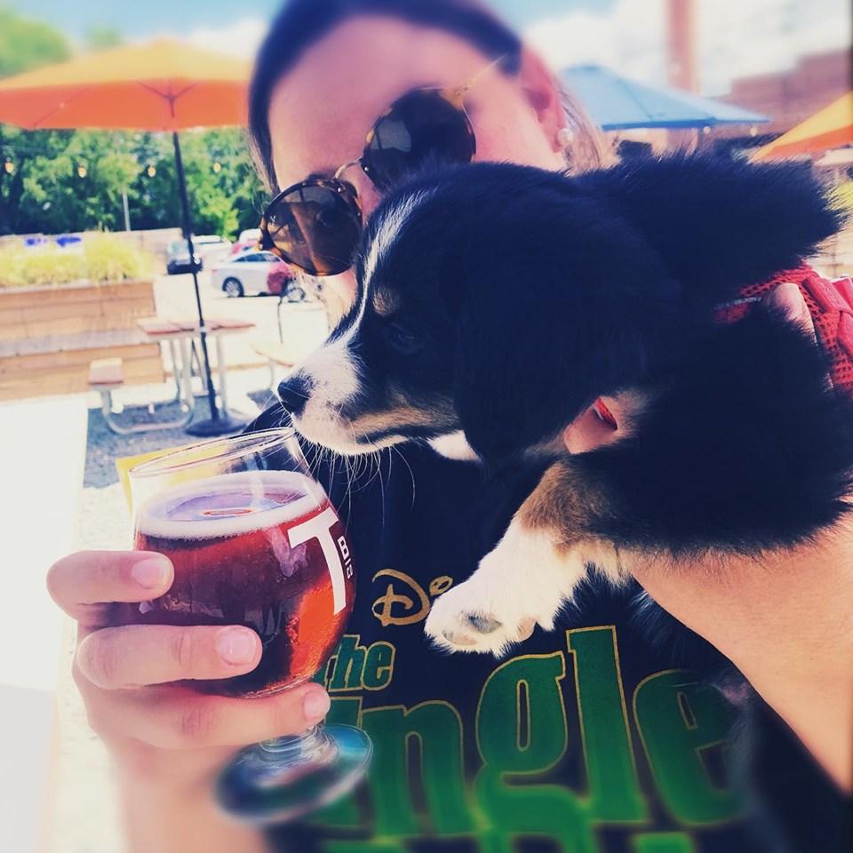Pet Friendly Town Brewing Co.