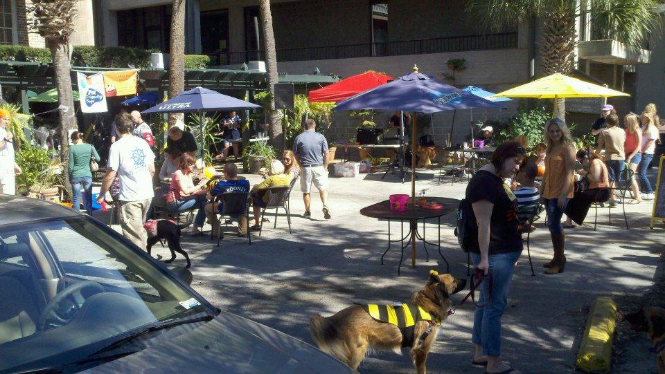 Hemingway's Bistro Is Pet Friendly