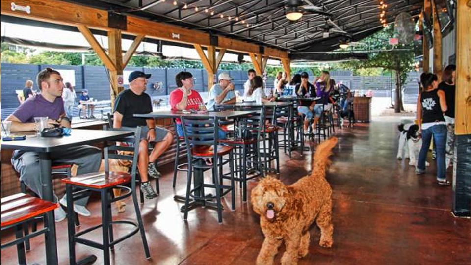 dog friendly mobile homes