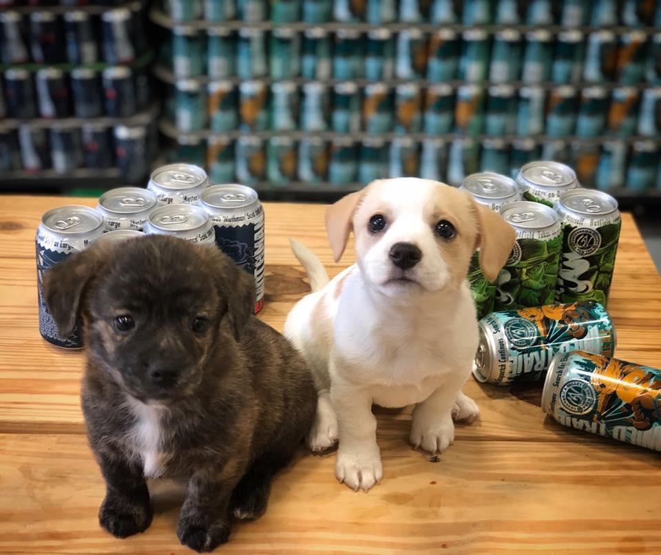 Pet Friendly Greenbrier Valley Brewing Company