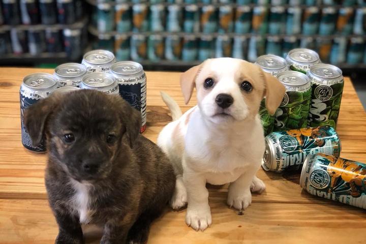 Pet Friendly Greenbrier Valley Brewing Company