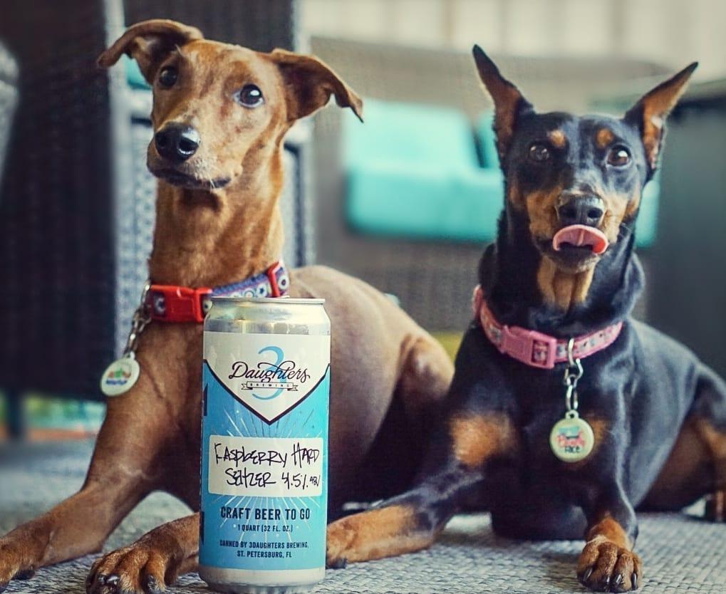 Bark Back on the Bay