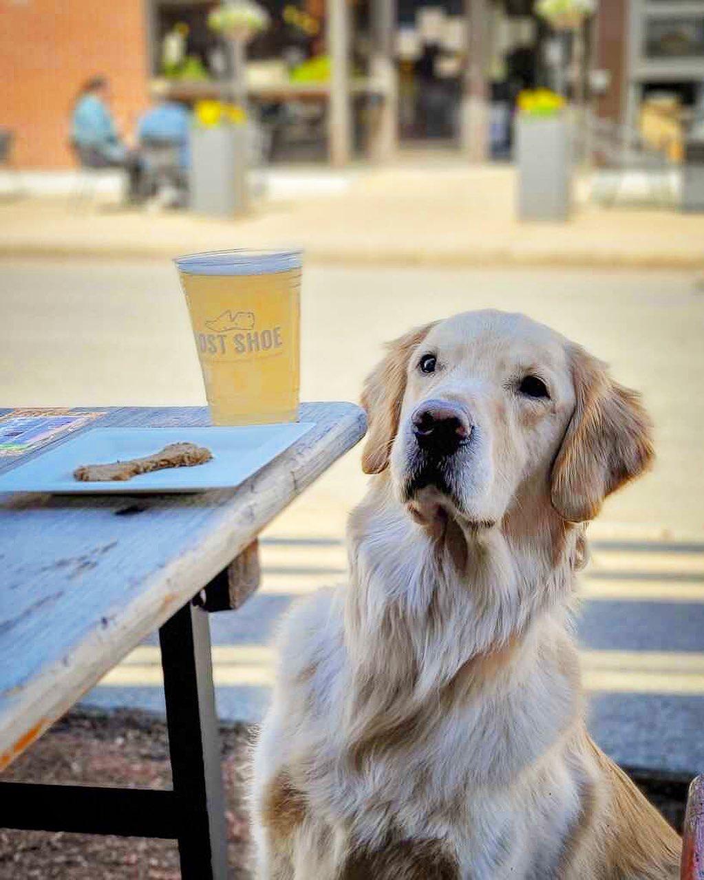 Dog Friendly Restaurants in Framingham, MA - BringFido