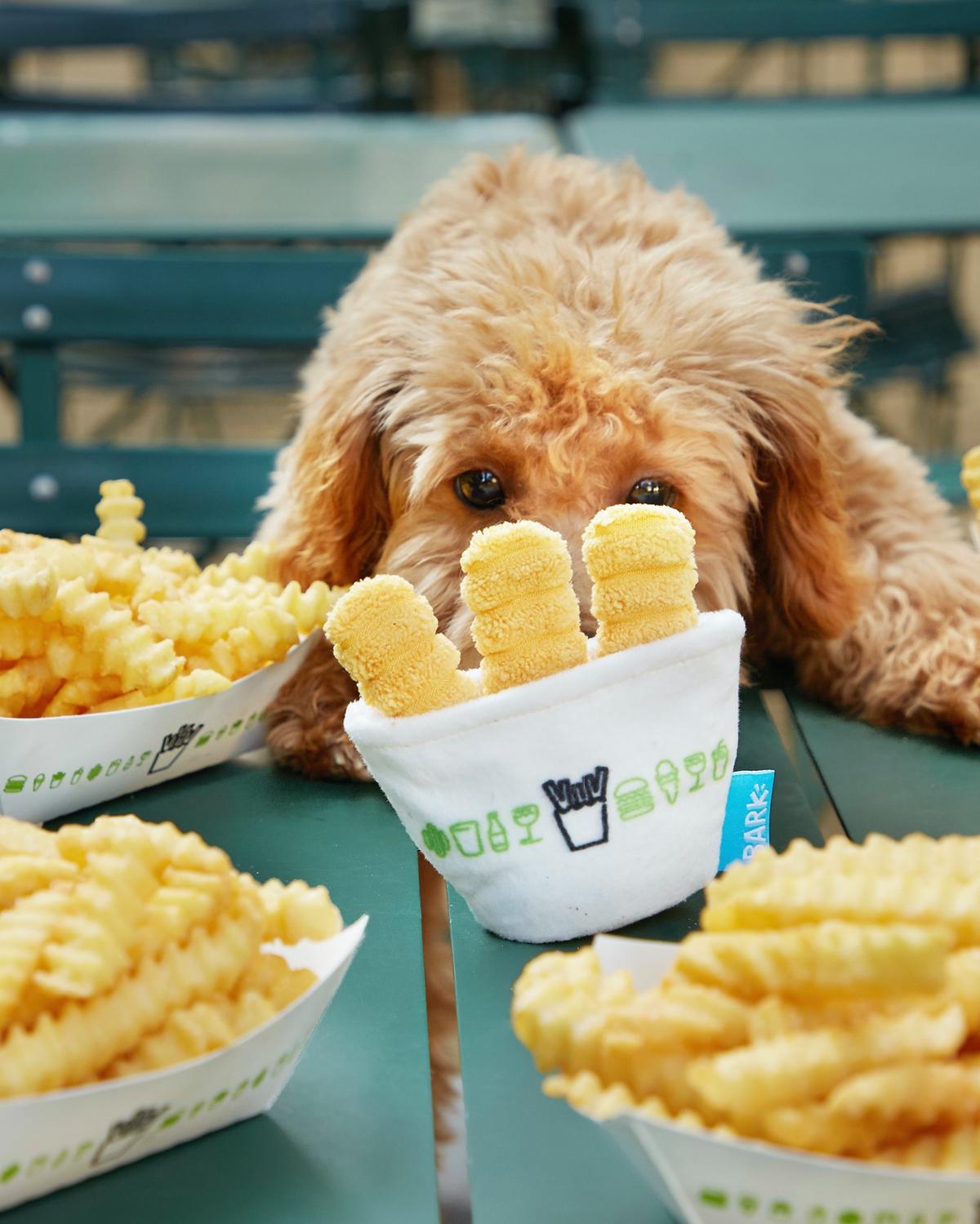 are dogs allowed in shake shack