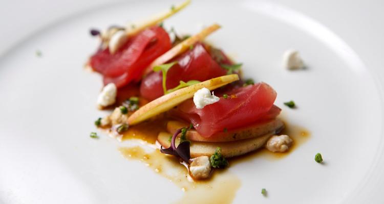 Download Jinsei Sushi Is Pet Friendly For iPhone Wallpaper Jinsei Sushi Is Pet Friendly For Android Free