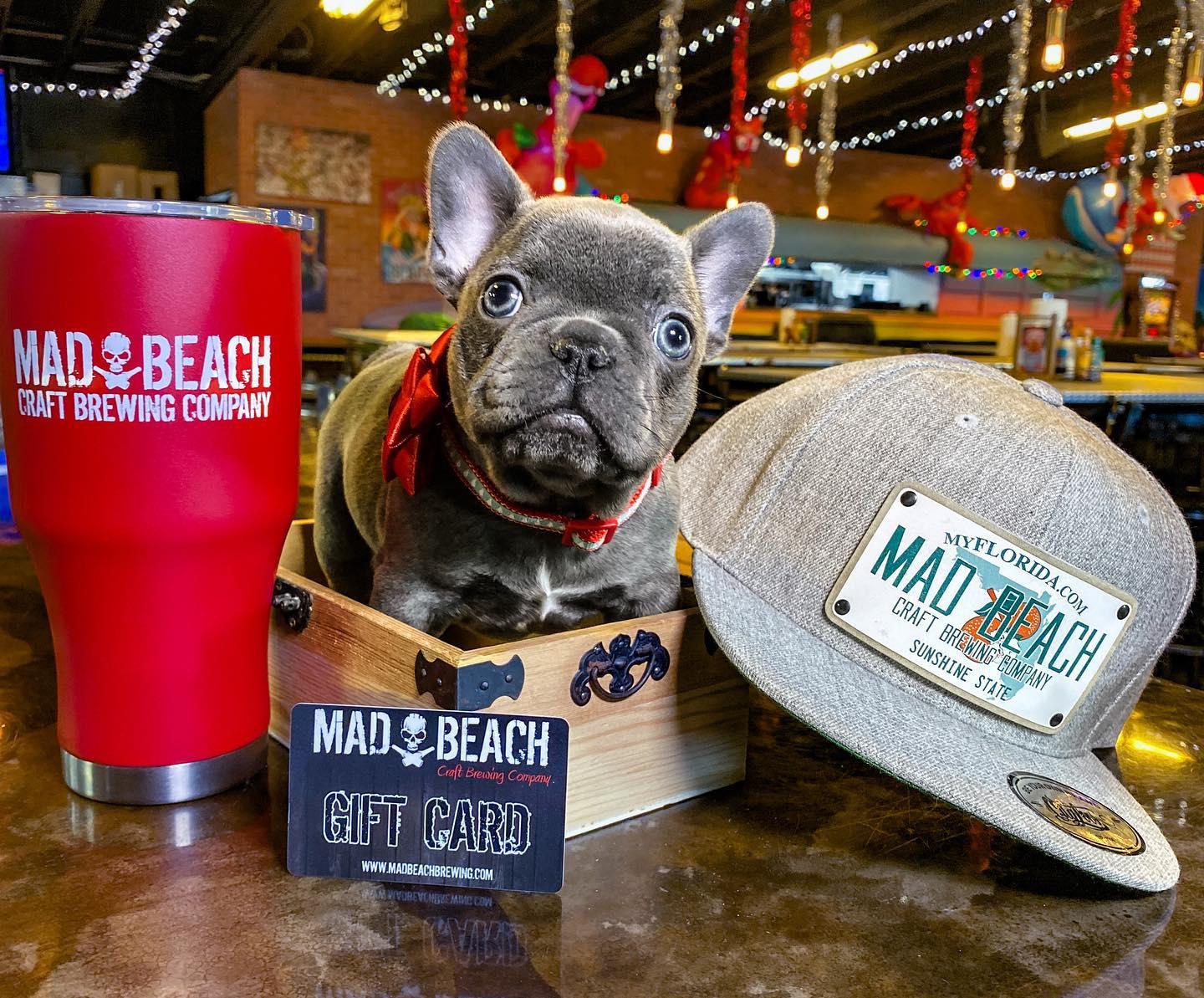 Pet Friendly Mad Beach Craft Brewing Company