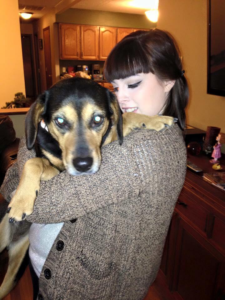 Dog Friendly Restaurants In Milford Ct Bringfido