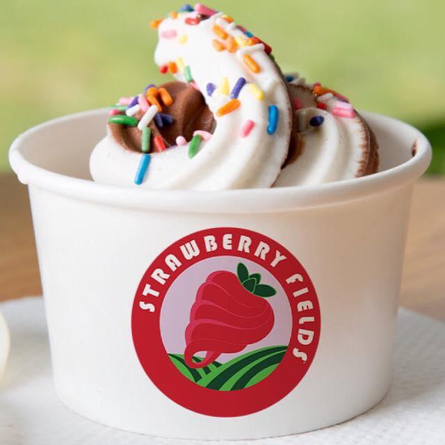 Strawberry Fields Self Serve Frozen Yogurt Is Pet Friendly