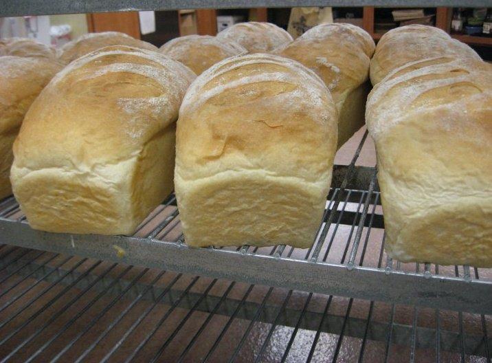 Pet Friendly Great Harvest Bread