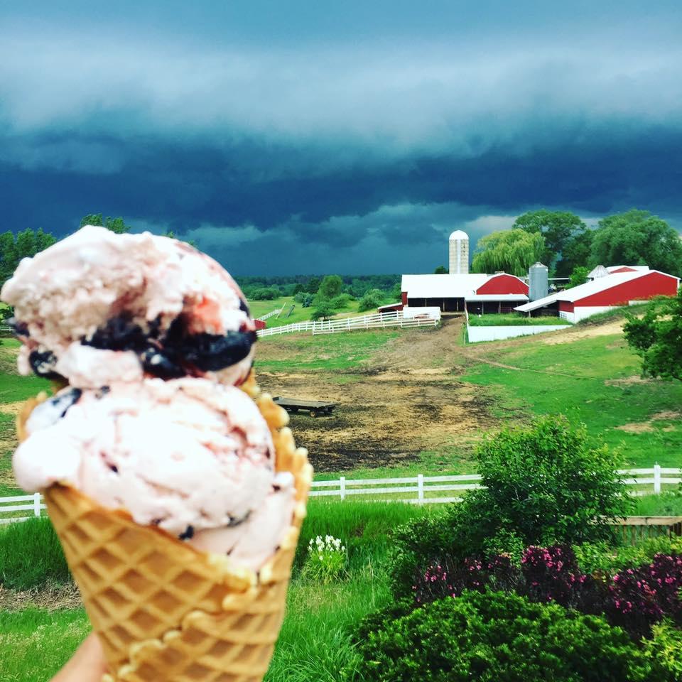 dog ice cream shops near me