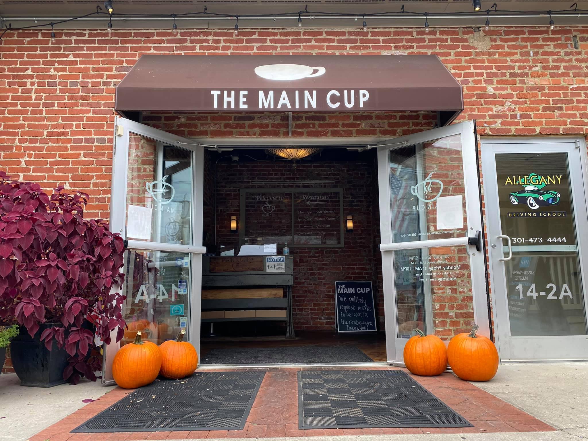 Pet Friendly The Main Cup