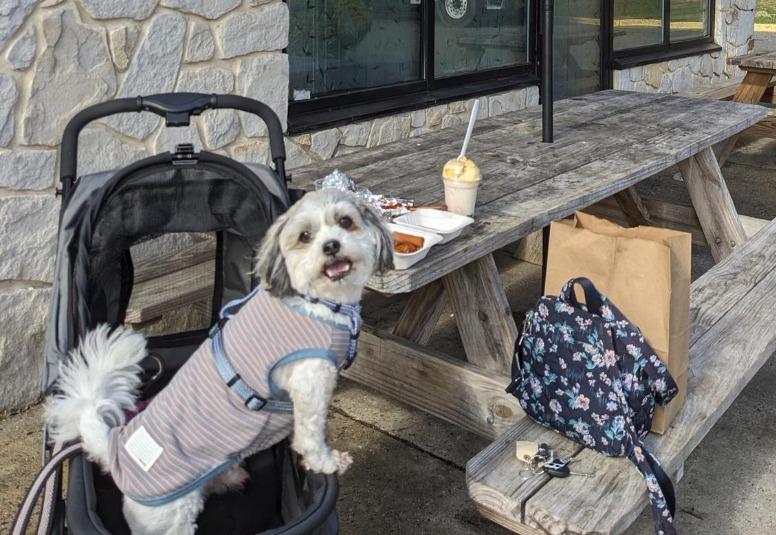 Pet Friendly Manila Cafe & Asian Mart
