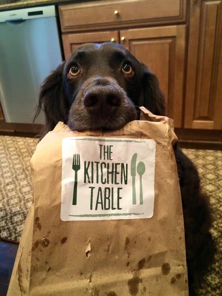 Pet Friendly The Kitchen Table
