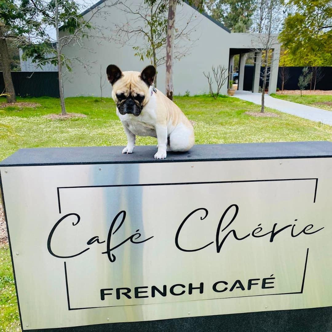 Pet Friendly Café Chérie