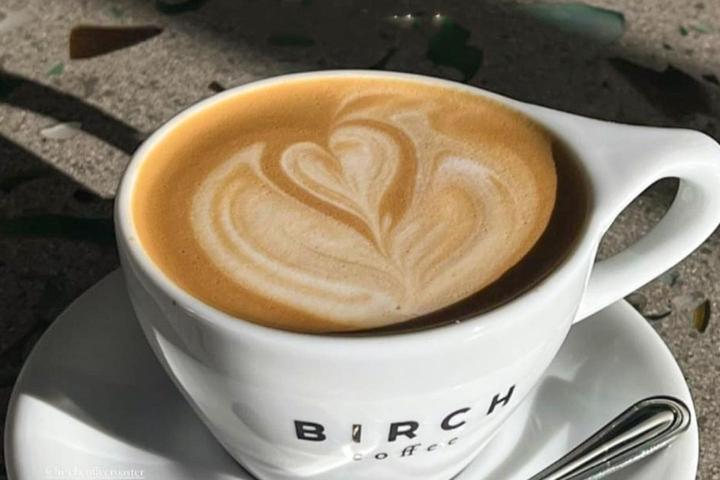 Pet Friendly Birch Coffee