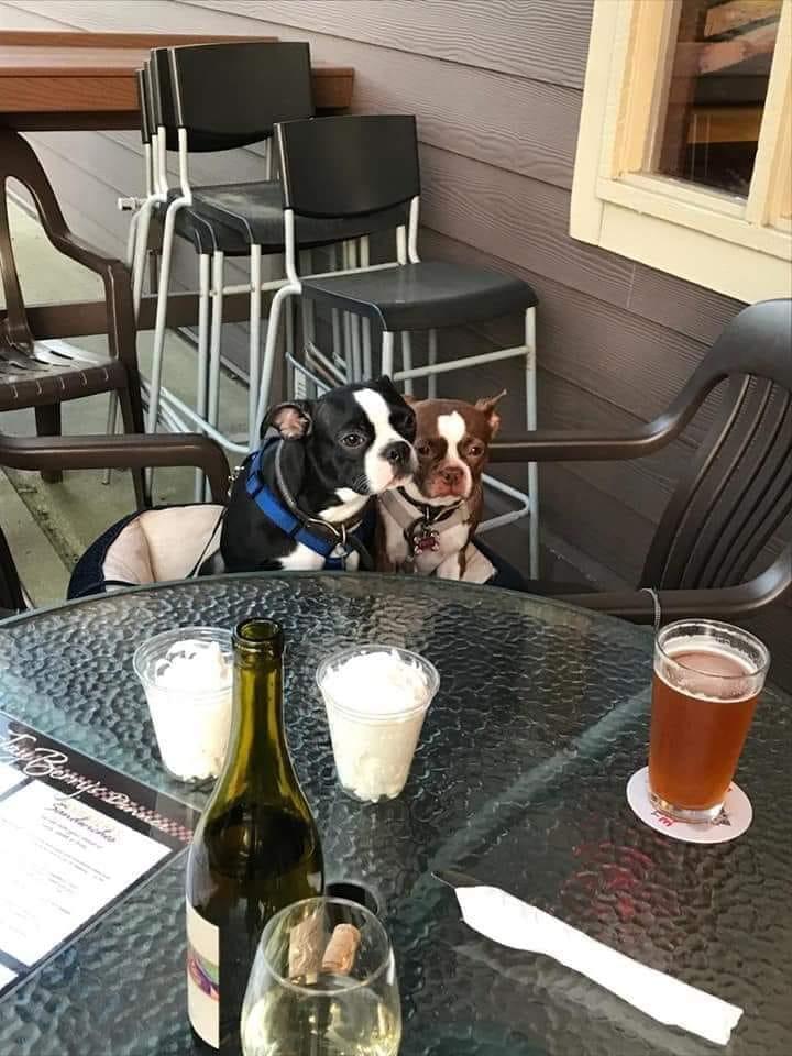 Pet Friendly Jay Berry's Cafe
