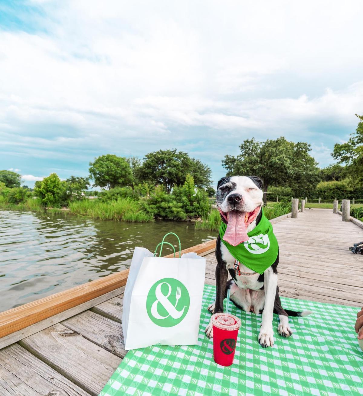 Dog Friendly Restaurants in Edina, MN - BringFido