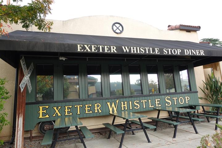 Pet Friendly Exeter Whistle Stop