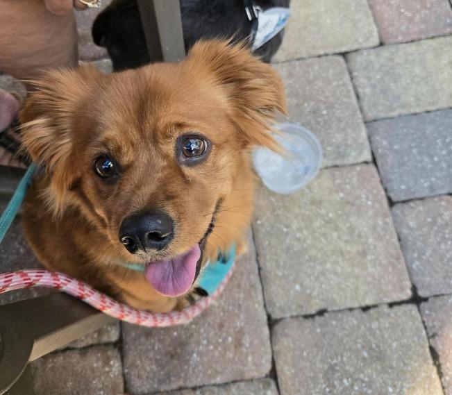 Pet Friendly Cristof's on McGregor