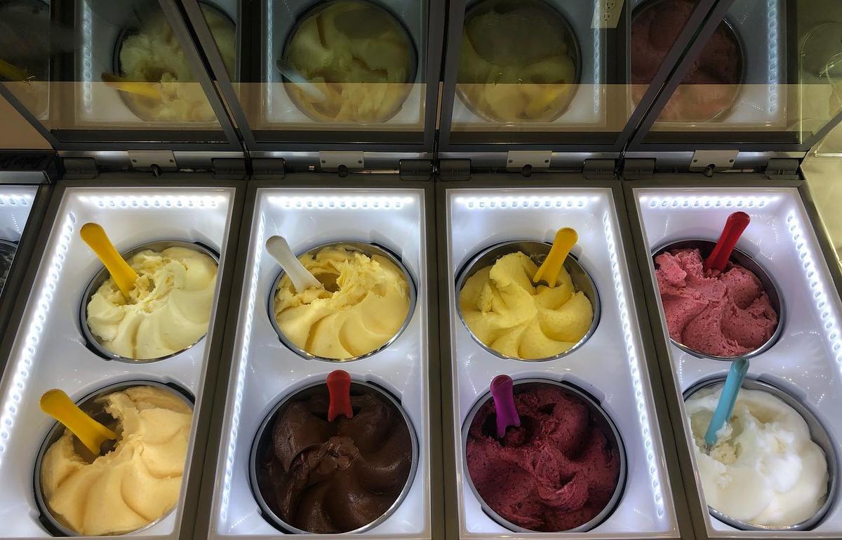 Dog Friendly Ice Cream Shops in Sarasota FL BringFido